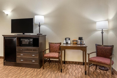 Comfort Inn at Thousand Hills Image #7