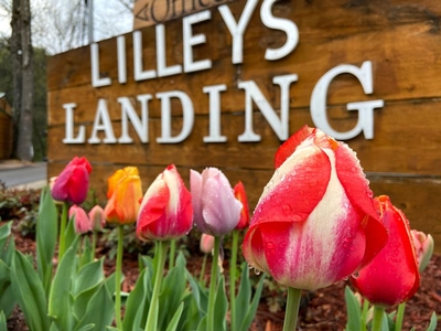 Lilleys' Landing Resort & Marina Image #6