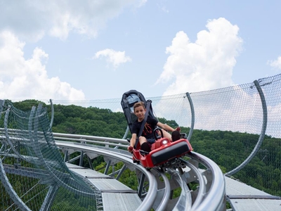 Copperhead Mountain Coaster Image #4