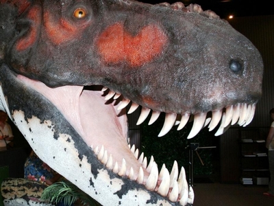 Branson Dinosaur Museum Image #5